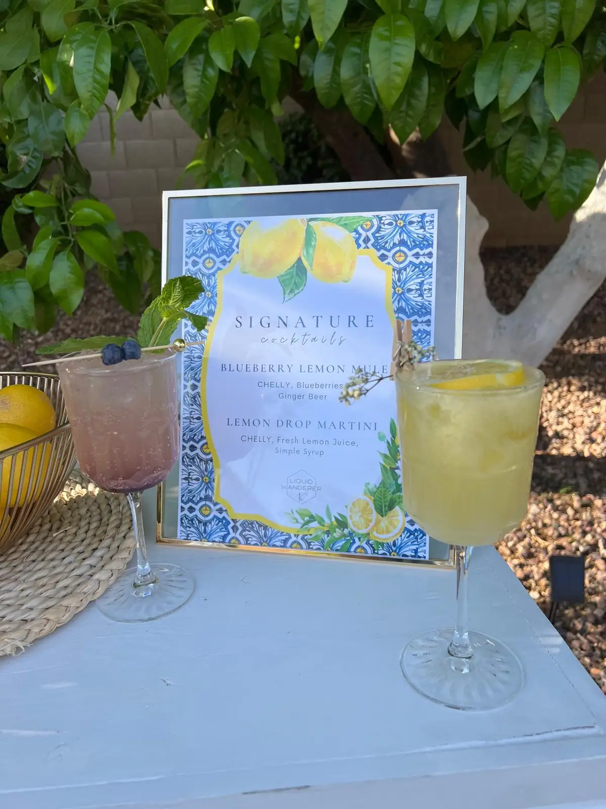 Serving Cocktails in Arizona